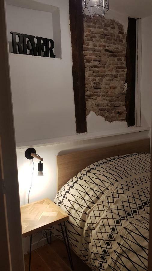 Appartement Avec Cour ★ Spacieux ★ Hyper Centre Castres  Eksteriør billede