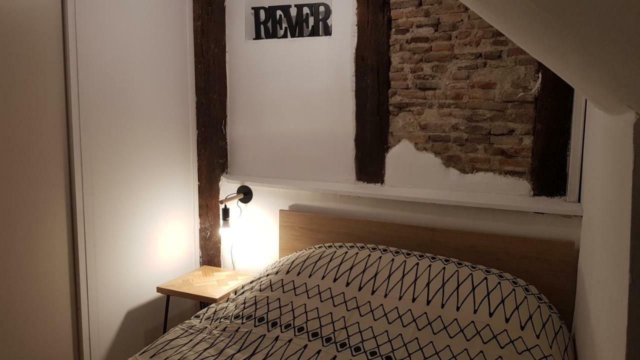 Appartement Avec Cour ★ Spacieux ★ Hyper Centre Castres  Eksteriør billede